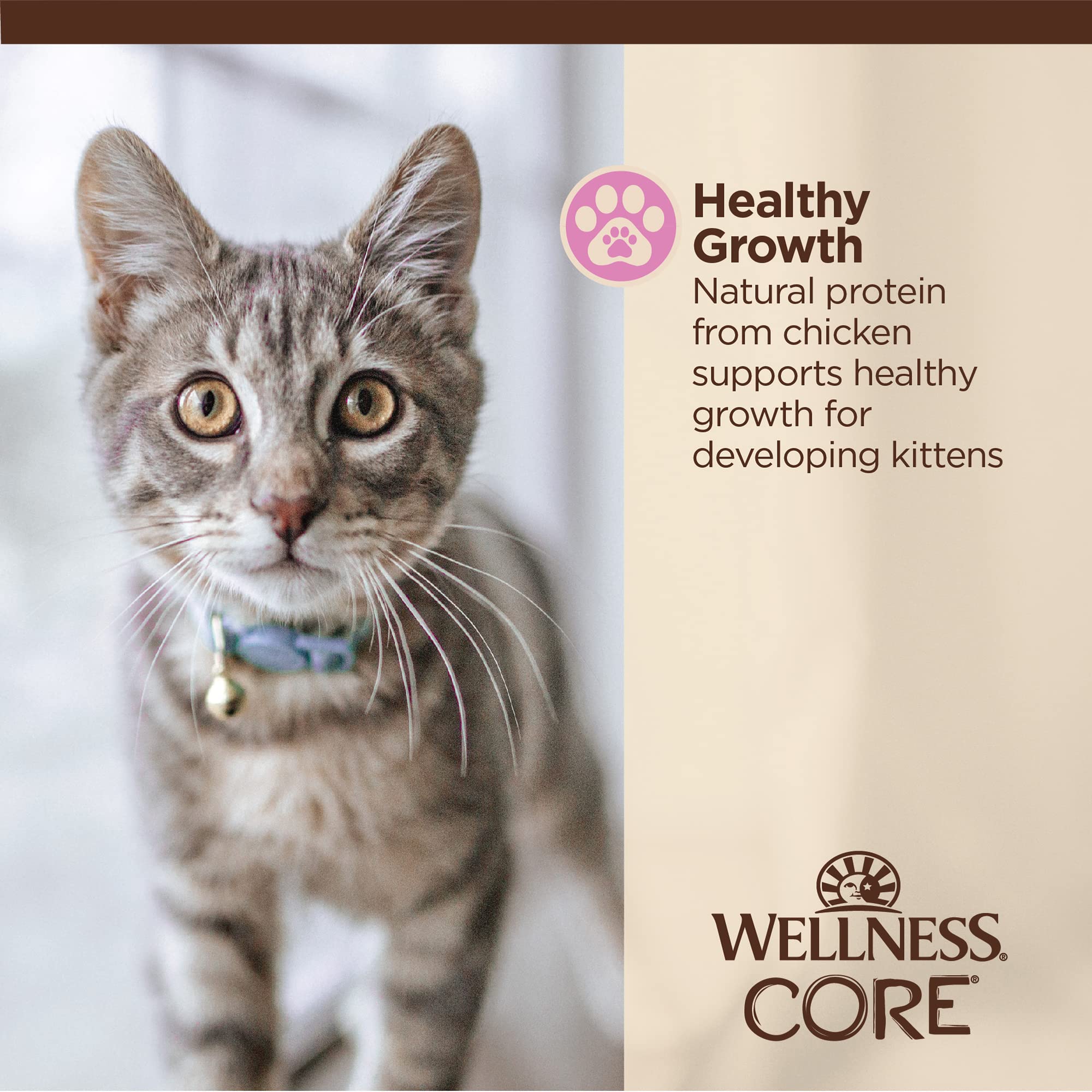 Wellness CORE Tiny Tasters Kitten - alto contenido proteico para gatitos activos.