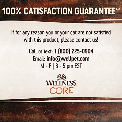 Puré paté suave de Wellness CORE para una experiencia de alimentación diaria.