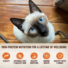 Wellness CORE Tiny Tasters Pate, porción única para cada comida de gato adulto.