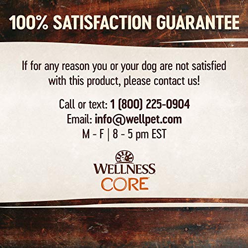 Wellness CORE+ bolsa de 20 libras para perro