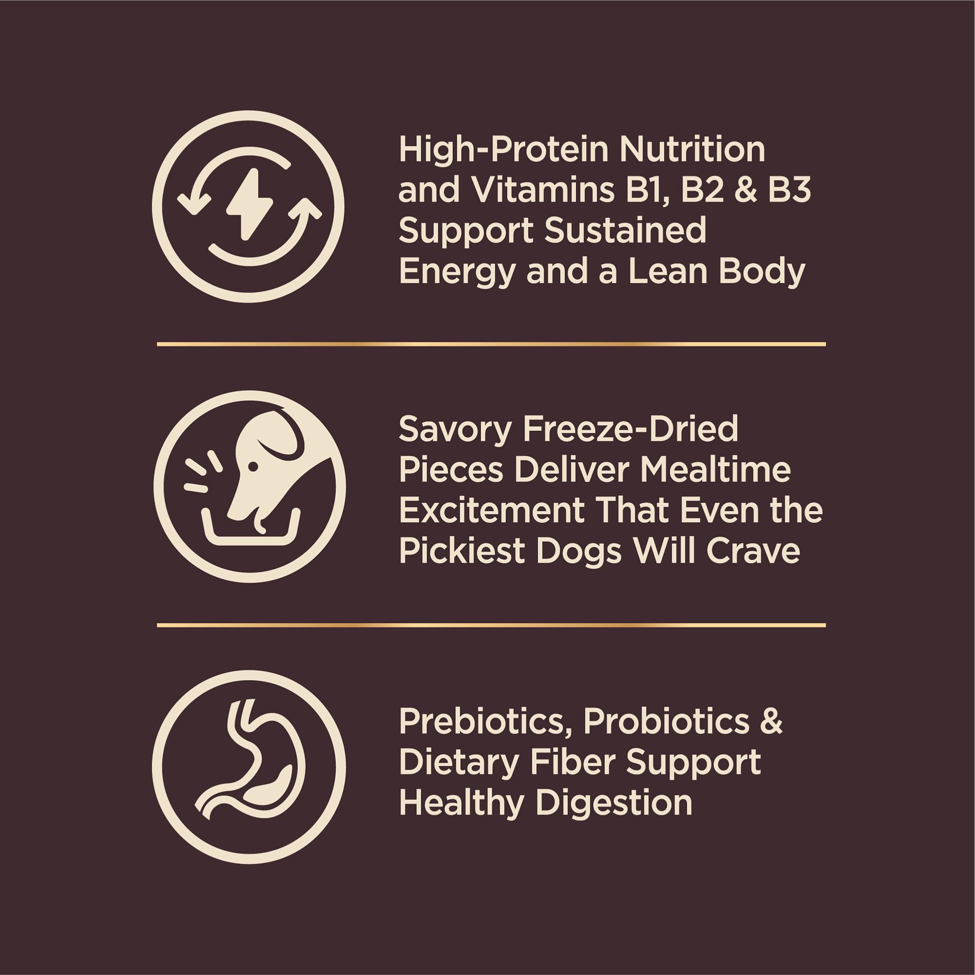 Wellness CORE+ omega para piel y pelaje saludables en perros pequeños.