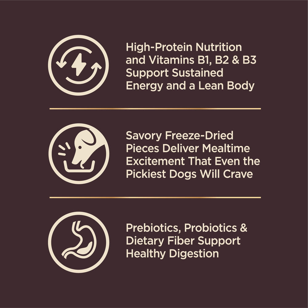 Wellness CORE+ omega para piel y pelaje saludables en perros pequeños.
