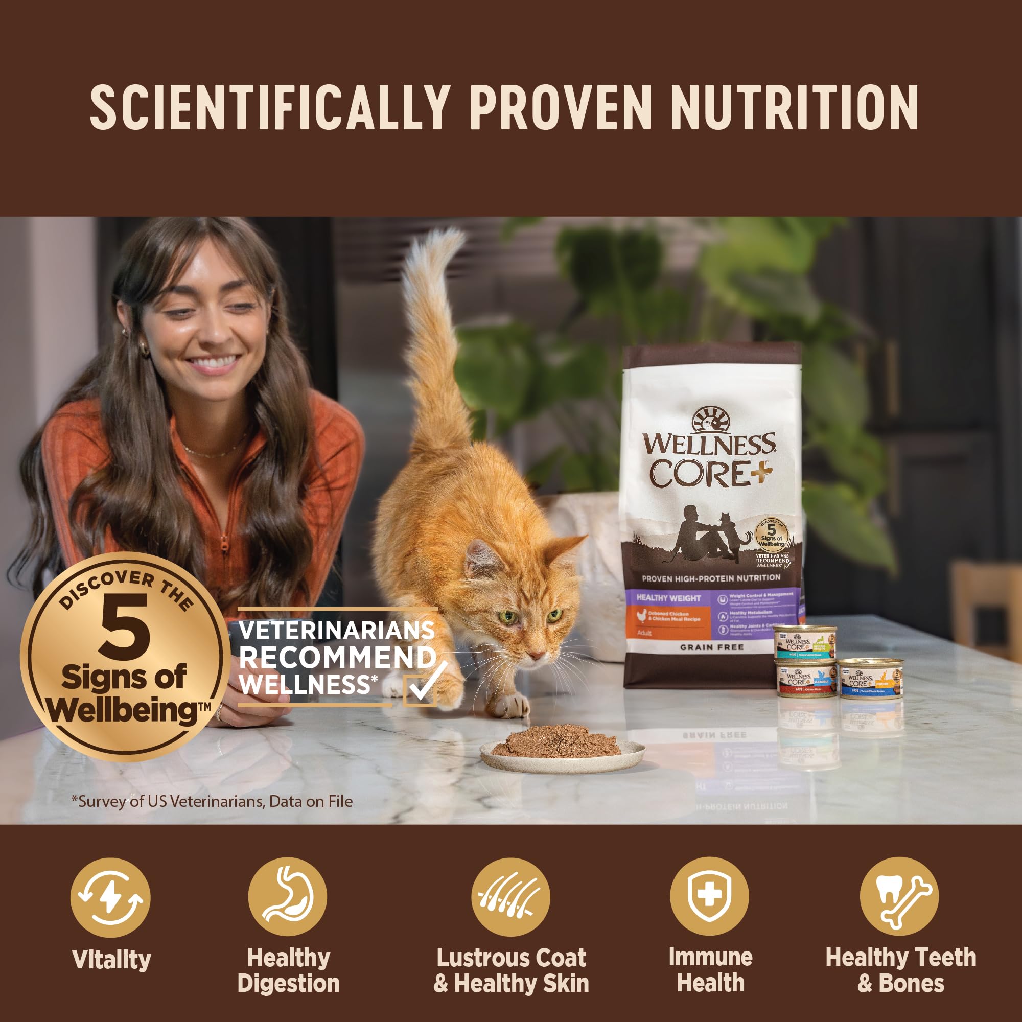 Wellness CORE+ Pate envase 12 latas, opción conveniente para dueños