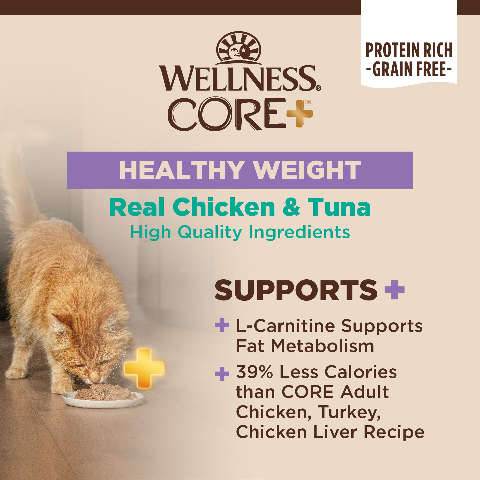Wellness CORE+ Pate textura cremosa para felinos que comen con facilidad