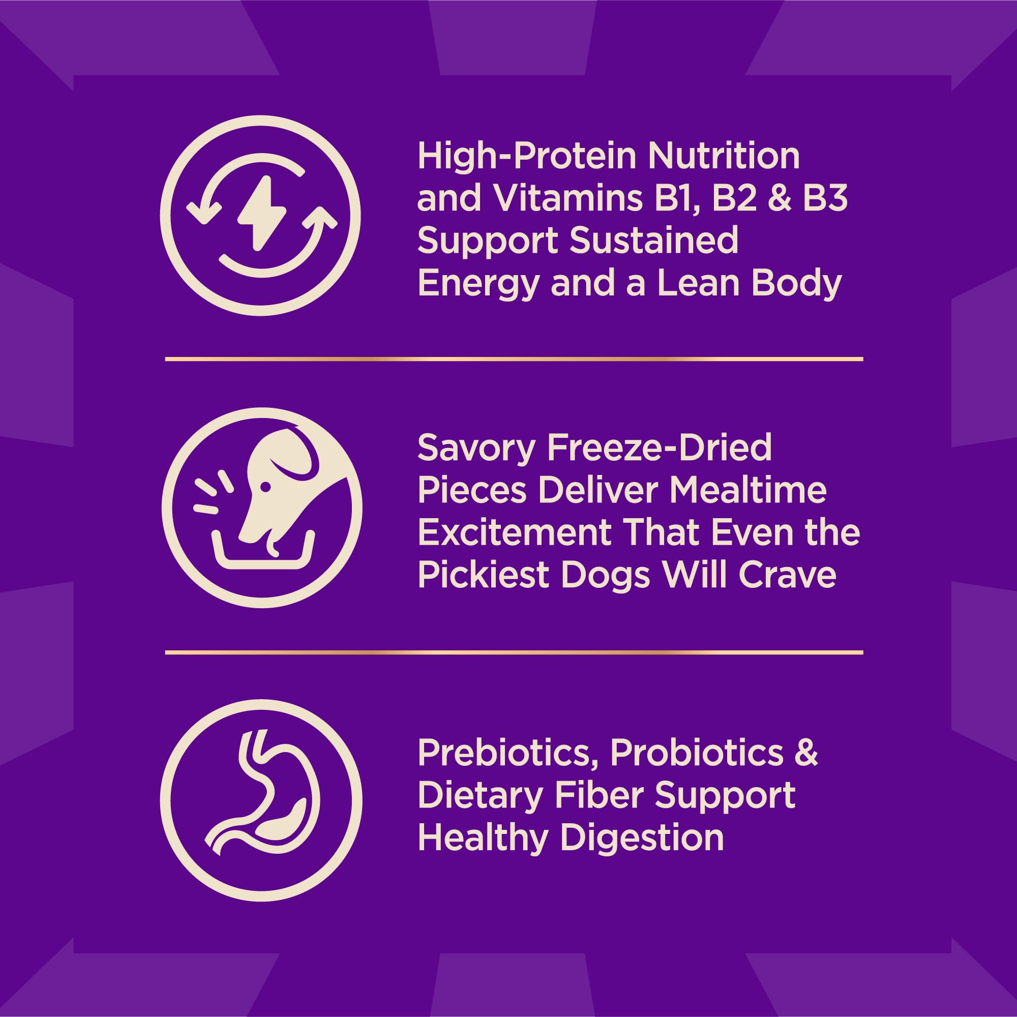 Wellness CORE+ probióticos digestivos para soporte intestinal y confort digestivo.