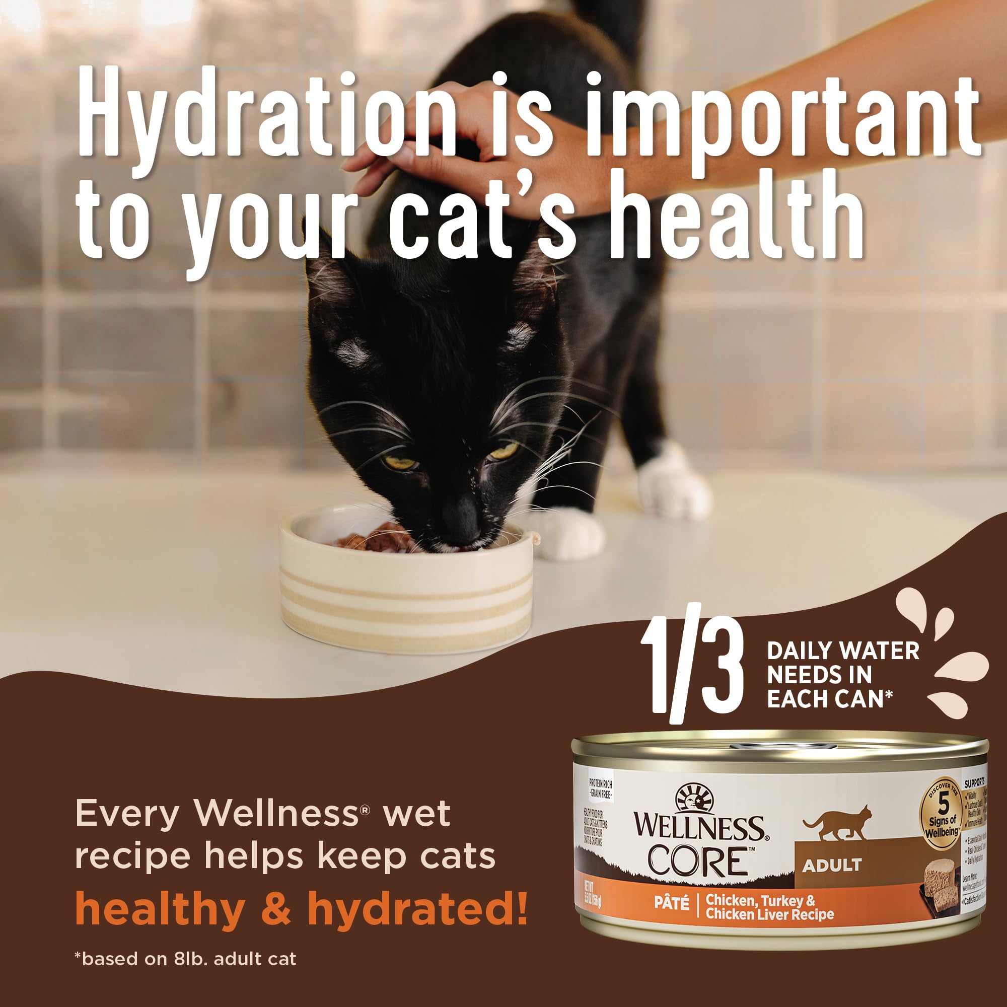 Wellness CORE+ Salmon Pate, ingredientes calabaza y papaya para nutrición equilibrada