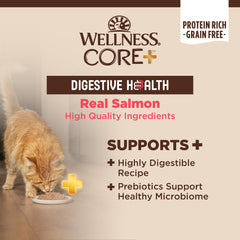 Wellness CORE+ Salmon Pate, servido en tazón, ayuda a la hidratación diaria