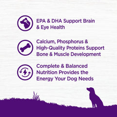 Wellness DHA y omega del salmón para desarrollo y piel sana.