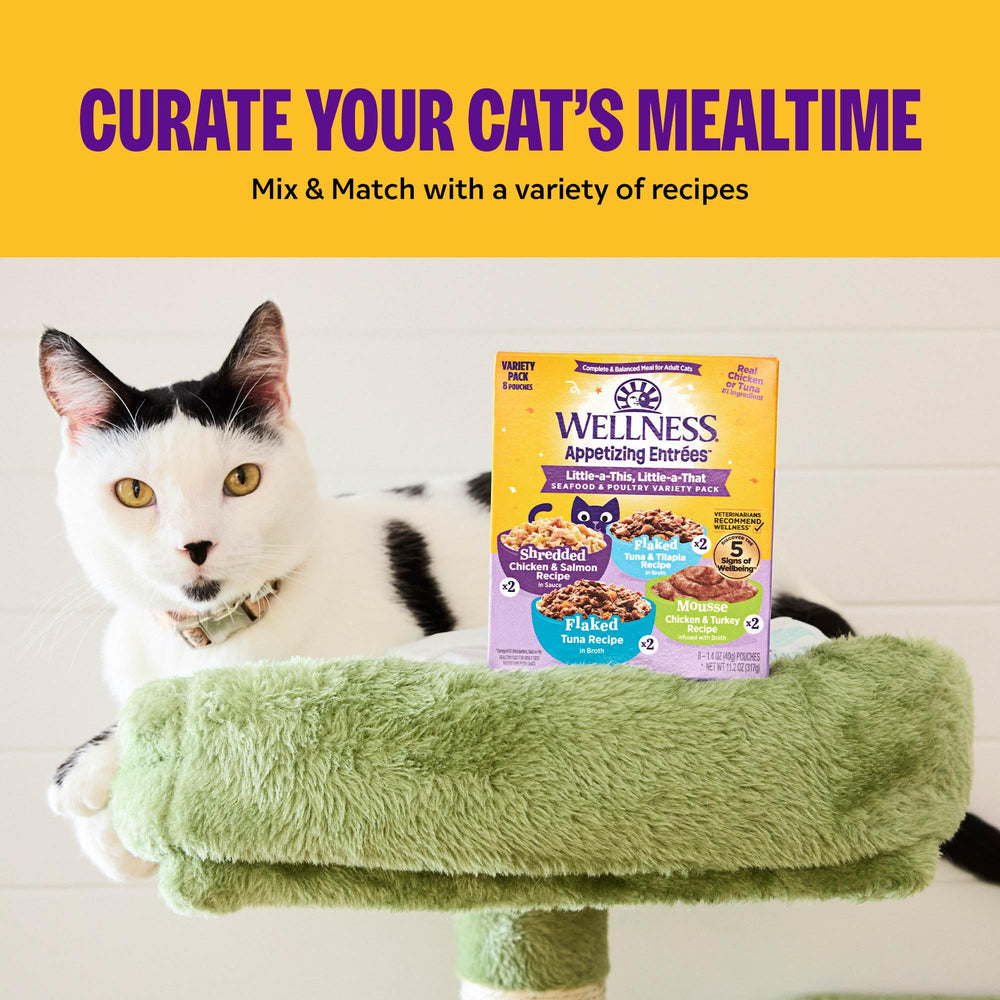 Wellness Fórmula completa para gatos adultos, equilibrio de nutrientes