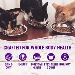 Wellness fórmula sin granos para gatos, opción natural y suave.