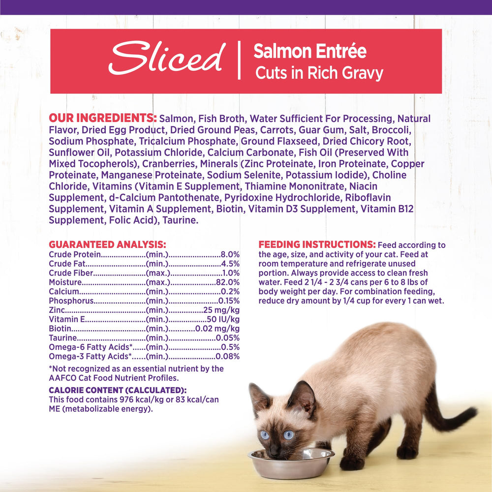 Wellness Gato Servir a temperatura ambiente: perfecto para disfrutar de la salsa