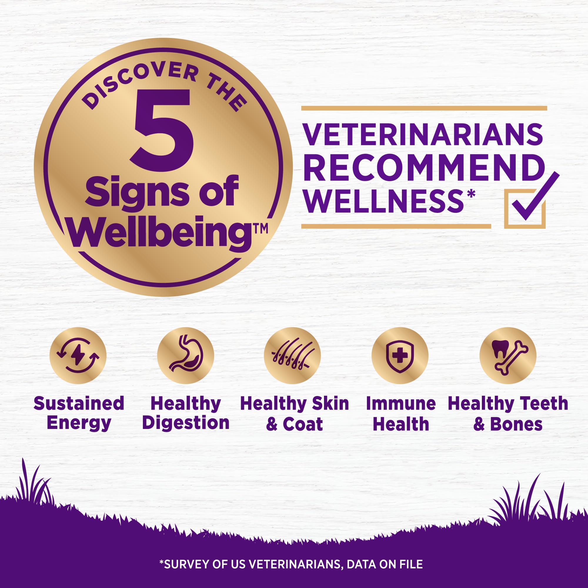Wellness kibble crujiente con pollo y salmón para cachorros.