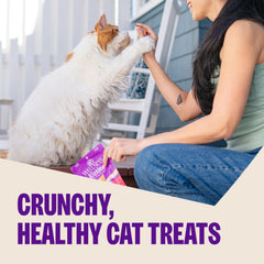 Wellness Kittles snack natural de salmón para gatos, apoyo dental y sabor premium