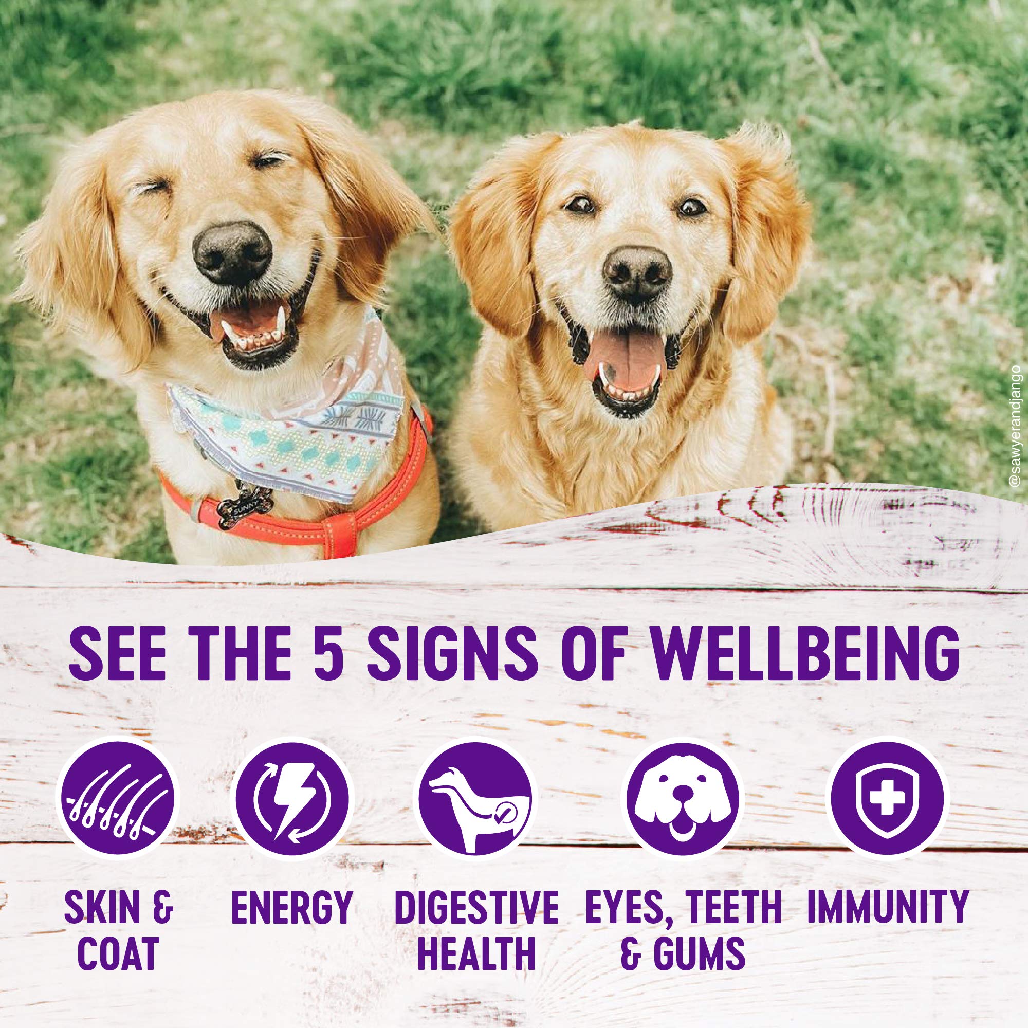 Wellness paté ingredientes naturales para perros