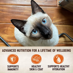 Wellness Natural Premium Gato Pate Pavo: opción suave y sabrosa para comidas diarias.