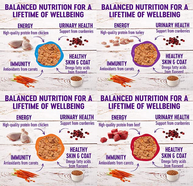 Wellness Natural Premium Gato Pate Res: sabor auténtico para variar el menú.