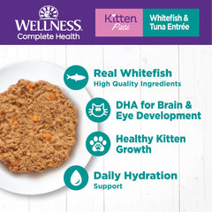 Wellness paté gatito: textura cremosa que facilita la ingestión y sabor irresistible.