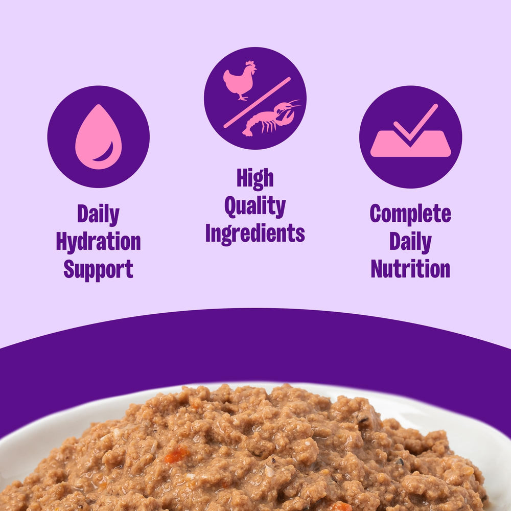 Wellness Pate Gato sirve en tazón: humedad natural para la hidratación diaria