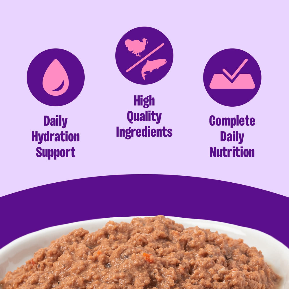 Wellness Pate para gatos: pavo y salmón en lata, alta proteína y sabor natural