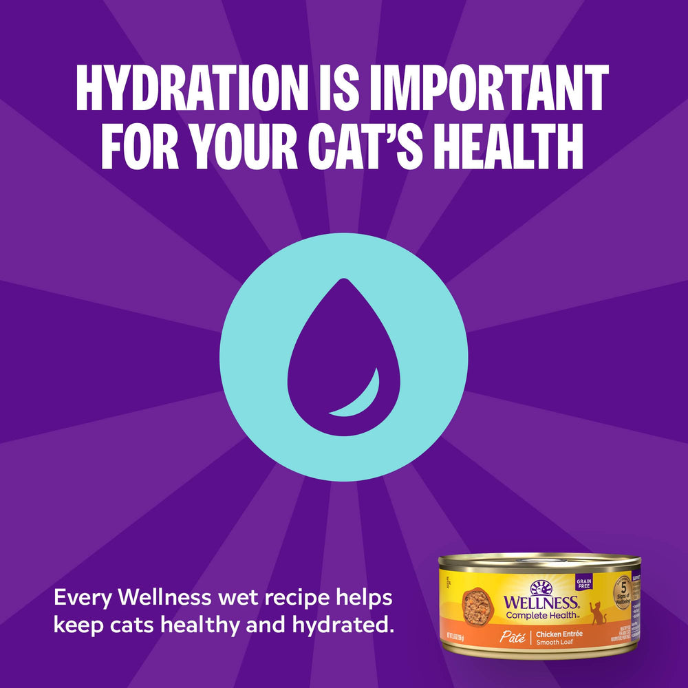 Wellness Pate Gato-textura-suave facilita la alimentación diaria.