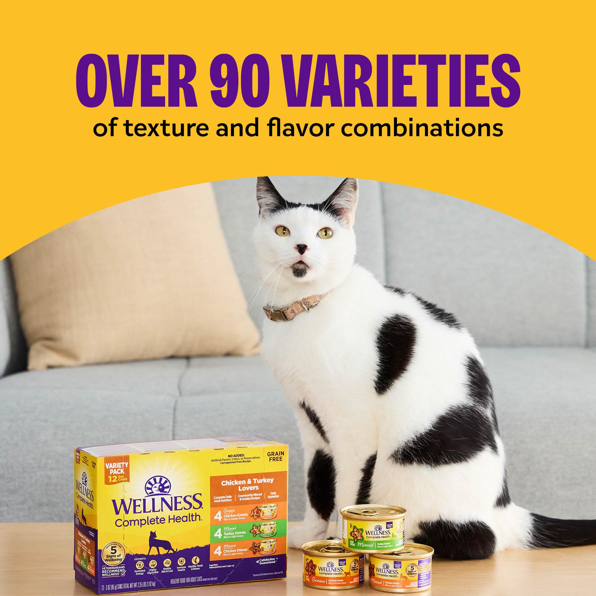 Wellness Complete Health Paté Pavo Salmón servir: apoyo a una hidratación óptima.