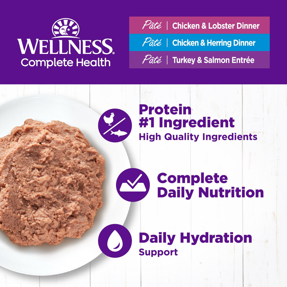 Wellness Complete Health Paté Pollo Langosta servir: opción sabrosa para hidratación diaria.