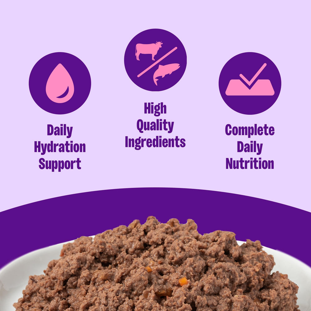 Wellness paté res y salmón: proteína de alta calidad para gatos adultos