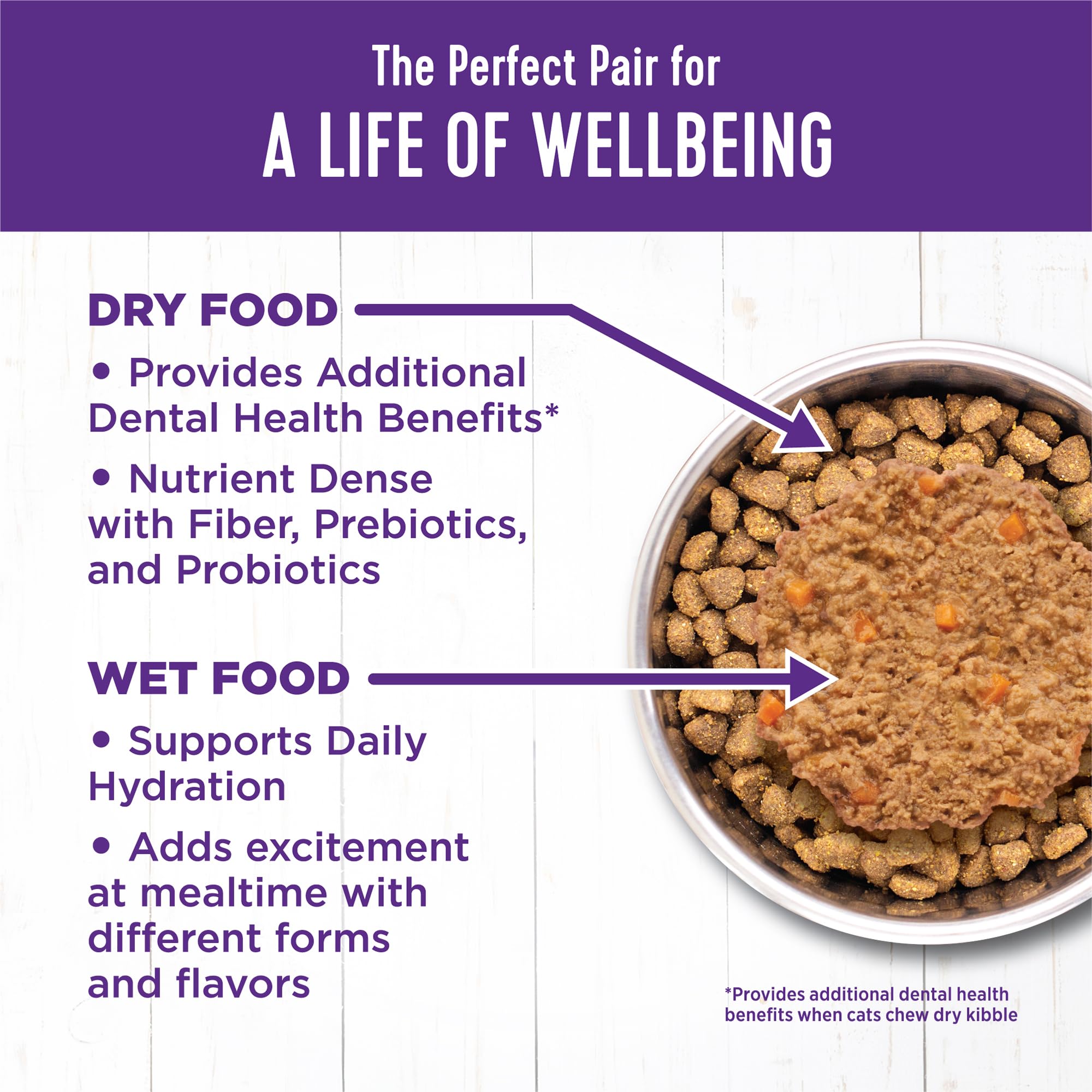 Wellness Pate Senior Nutrición Completa Lata: nutrición equilibrada para energía y bienestar.