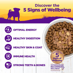 Wellness Petite Entrées con boniato blanco en salsa, opción sabrosa para perros pequeños.