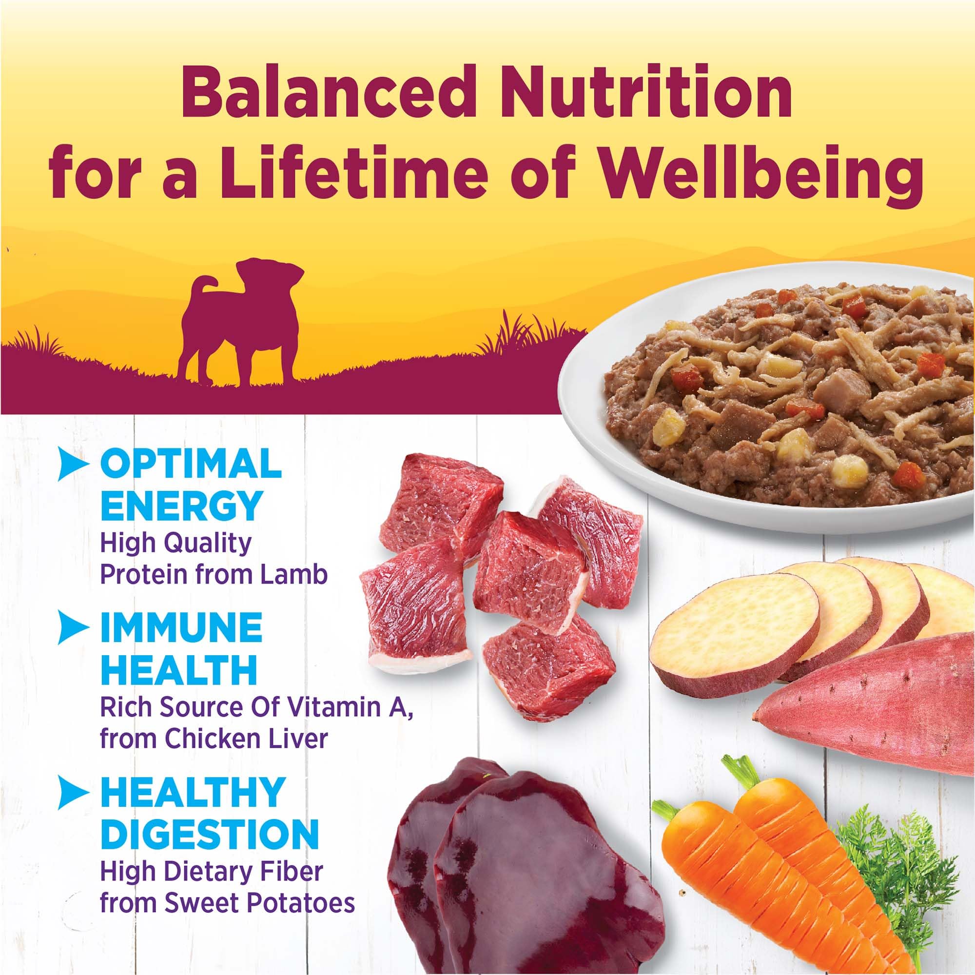 Wellness Petite Entrées: ingredientes premium que apoyan una dieta equilibrada.