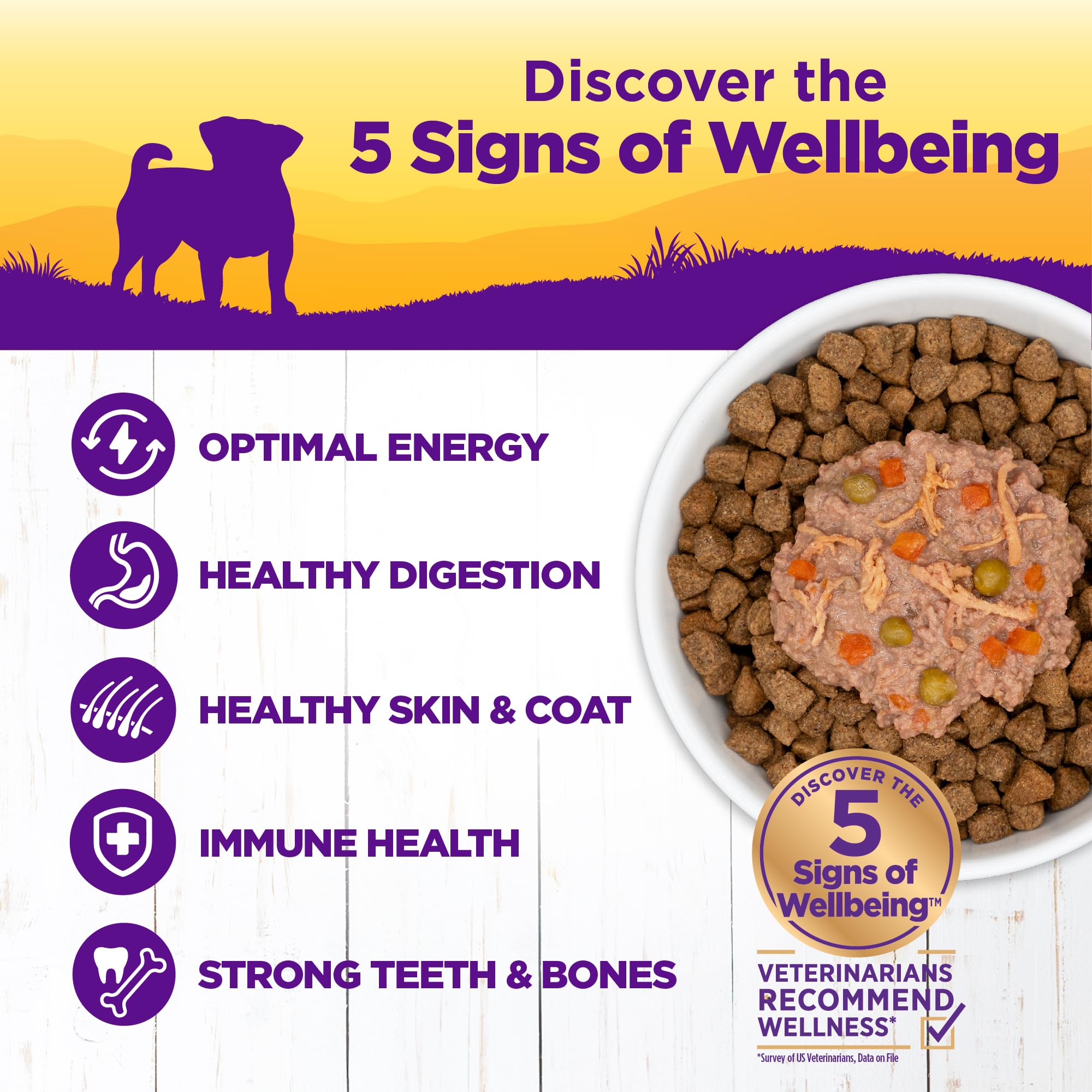 Wellness Petite Entrées con salsa sabrosa, gravy agradable para perros pequeños.