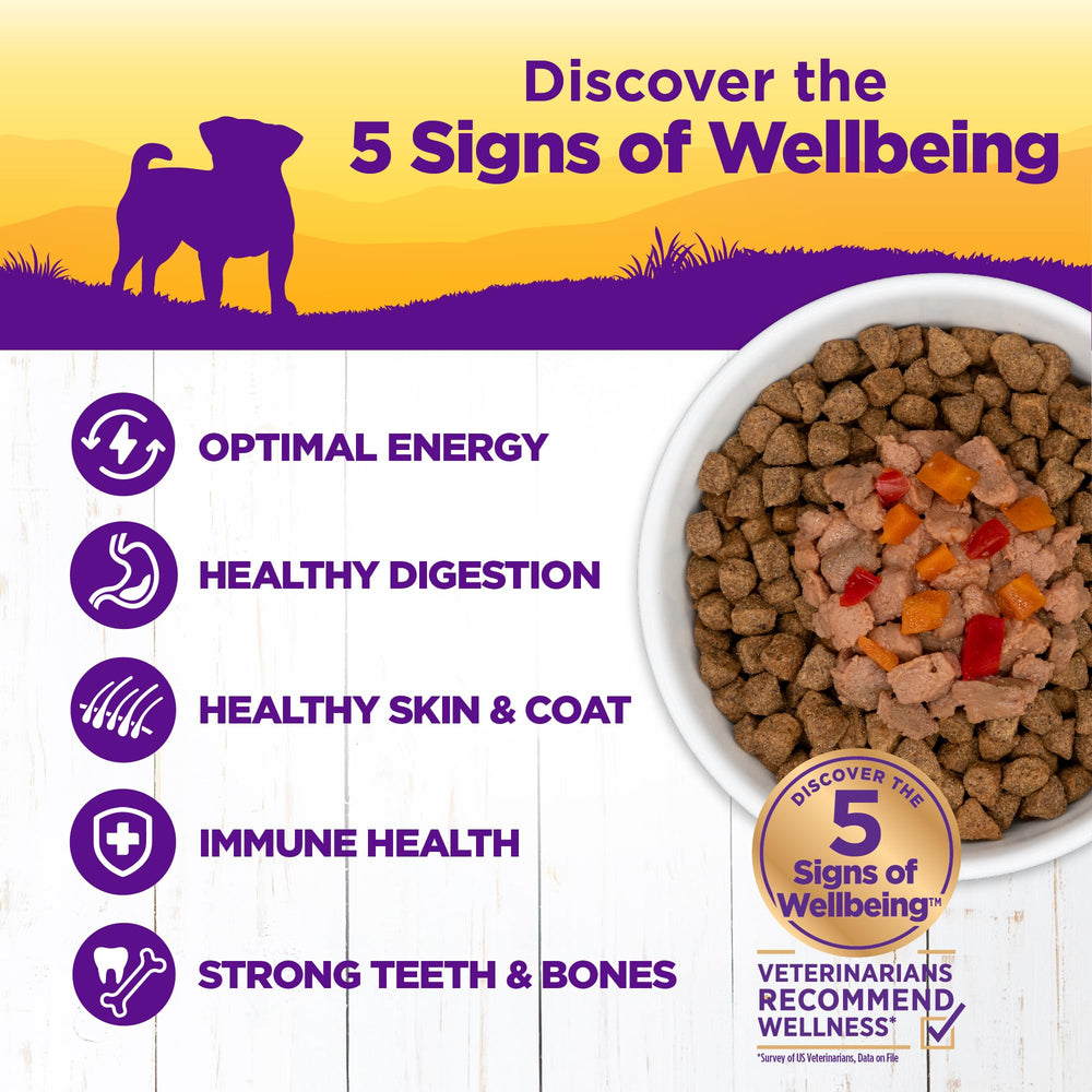 Wellness Petite Entrées: mezcla de verduras en salsa para perros pequeños