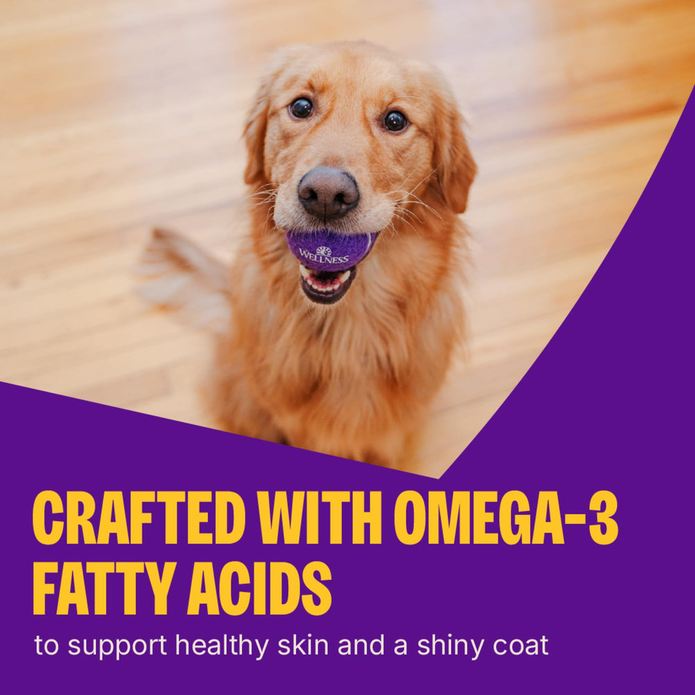 DHA del aceite de salmón y Omega-3 de linaza para pelaje brillante.