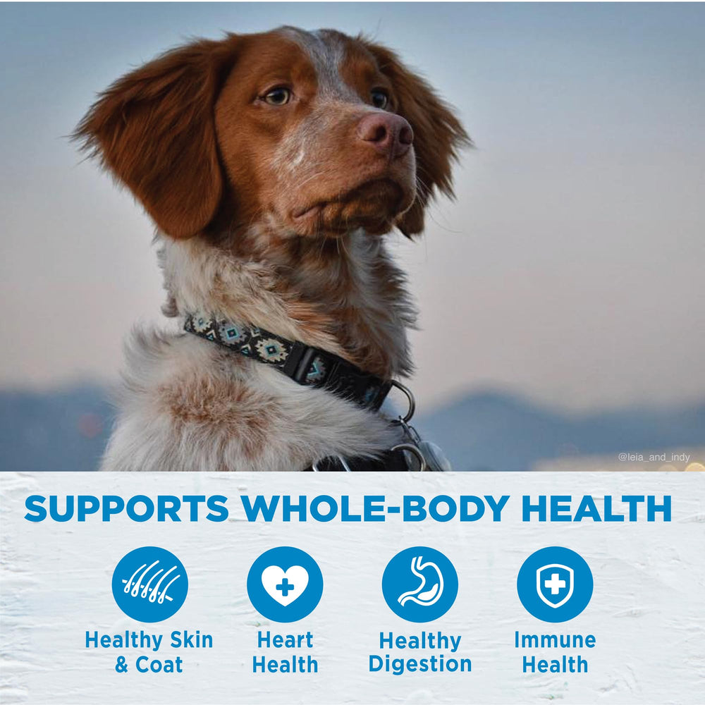 Wellness Simple dieta de ingredientes limitados, proteína única salmón para perros.