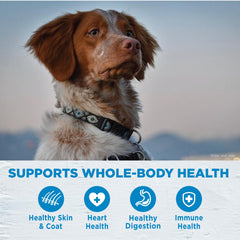 Wellness Simple tazón para perro pequeño, plato crujiente para la comida
