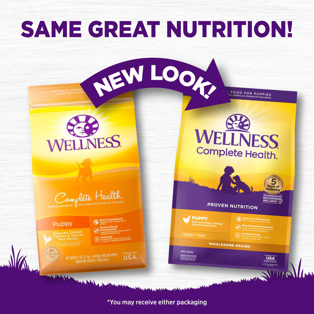 Croquetas Wellness en tazón, nutrición completa para perros.