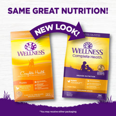 Croquetas Wellness en tazón, nutrición completa para perros.