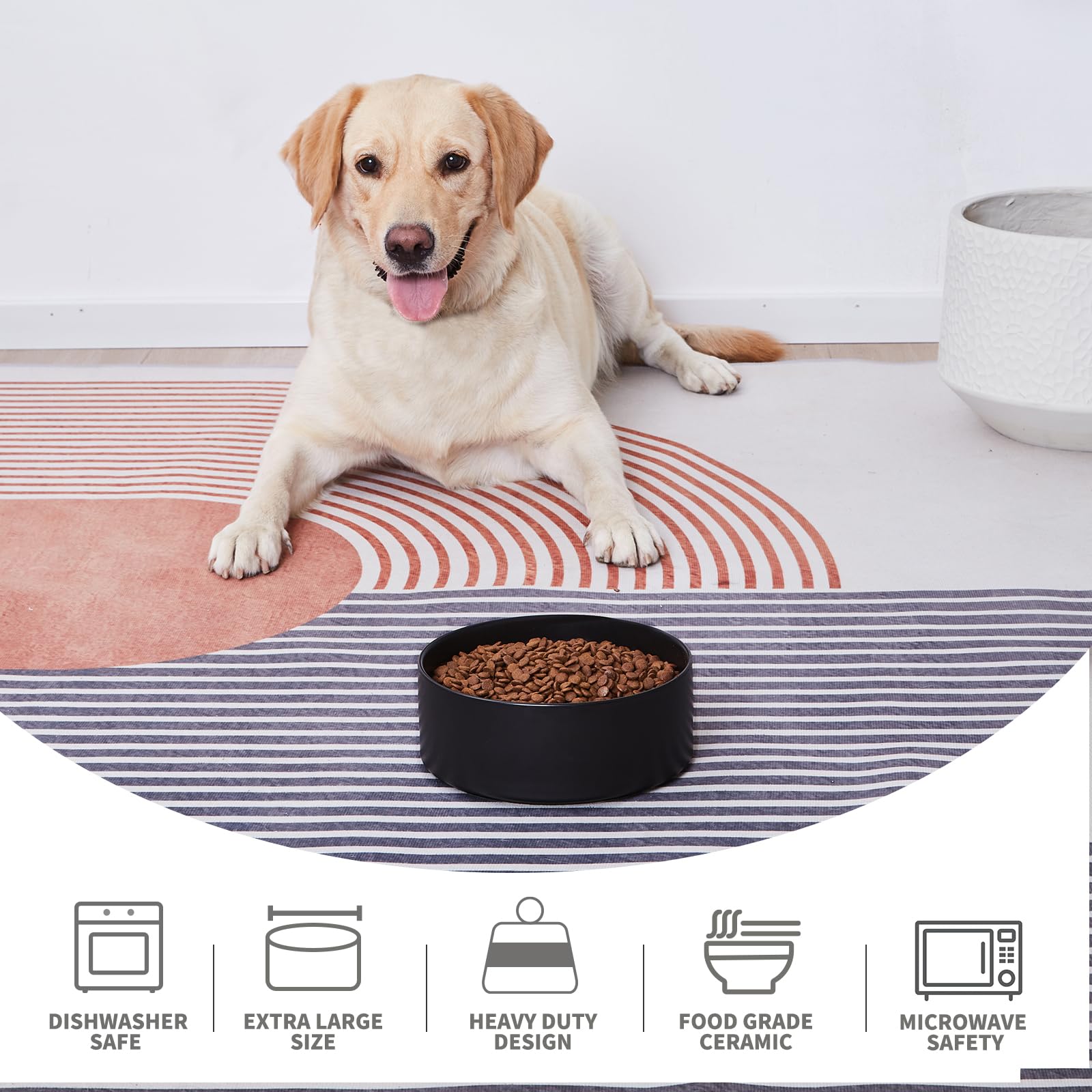 Base antideslizante de Welloyed, cuenco para perros, reduce deslizamientos.