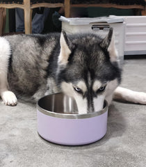 Diseño antivuelco Wenbokmin para mantener estable la comida y el agua.