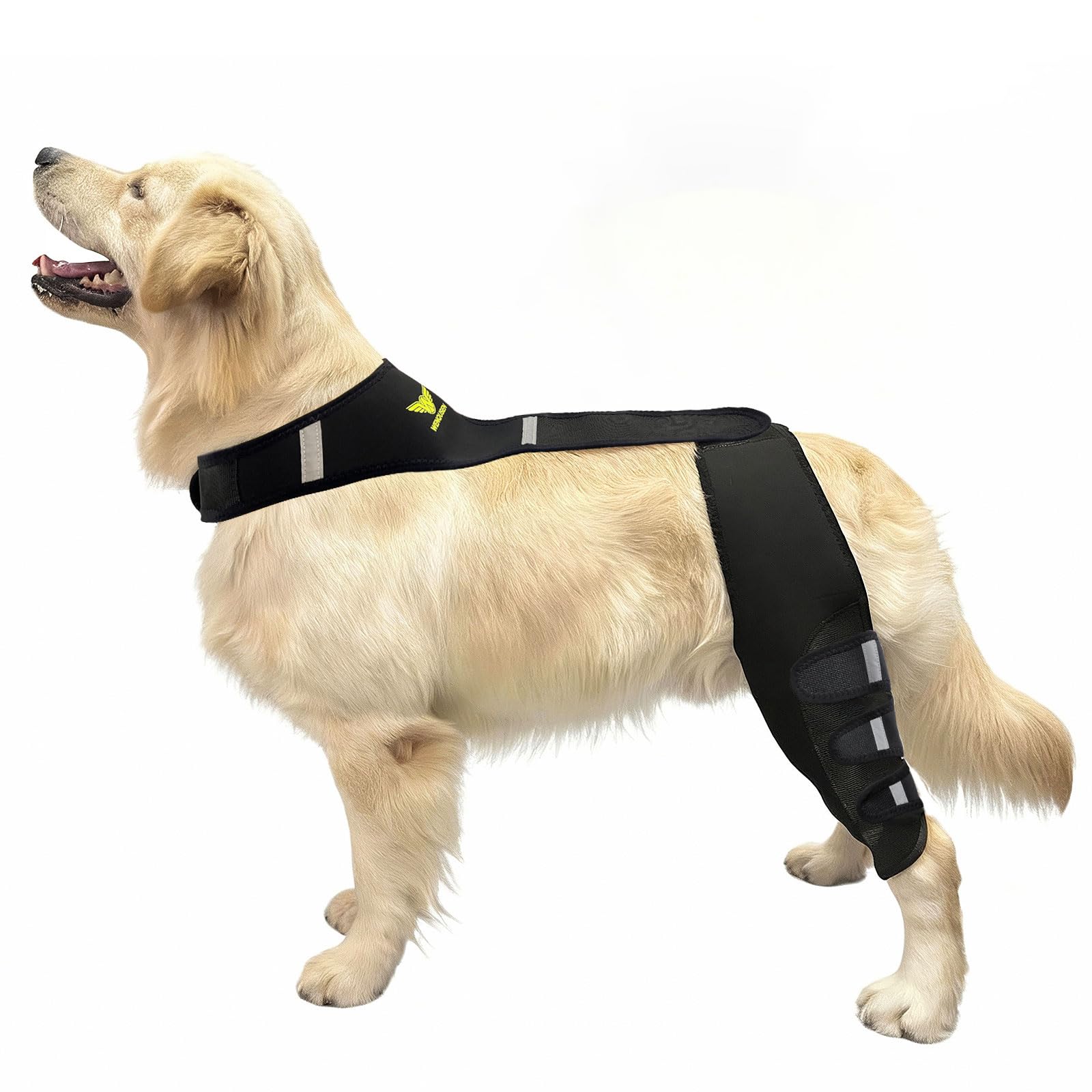 WENQUSEN rodilla de perro, vista frontal, soporte estable para caminar