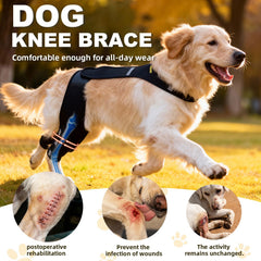 WENQUSEN rodilla de perro, vista lateral, protección suave durante el juego