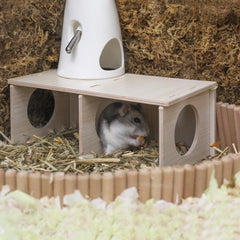 Wenriko Hamster Peep Tunnel con dos cámaras para un hábitat más organizado.
