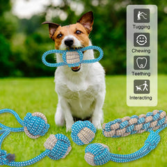 weocar cuerda para limpieza dental de cachorros, ayuda a la higiene bucal durante el juego.