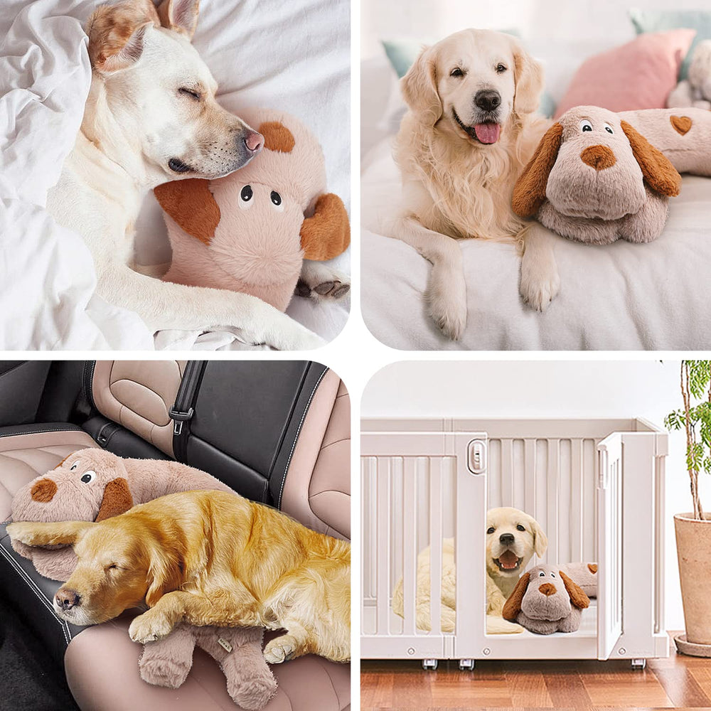 Perro relajado junto al WEOK latido para dormir mejor.