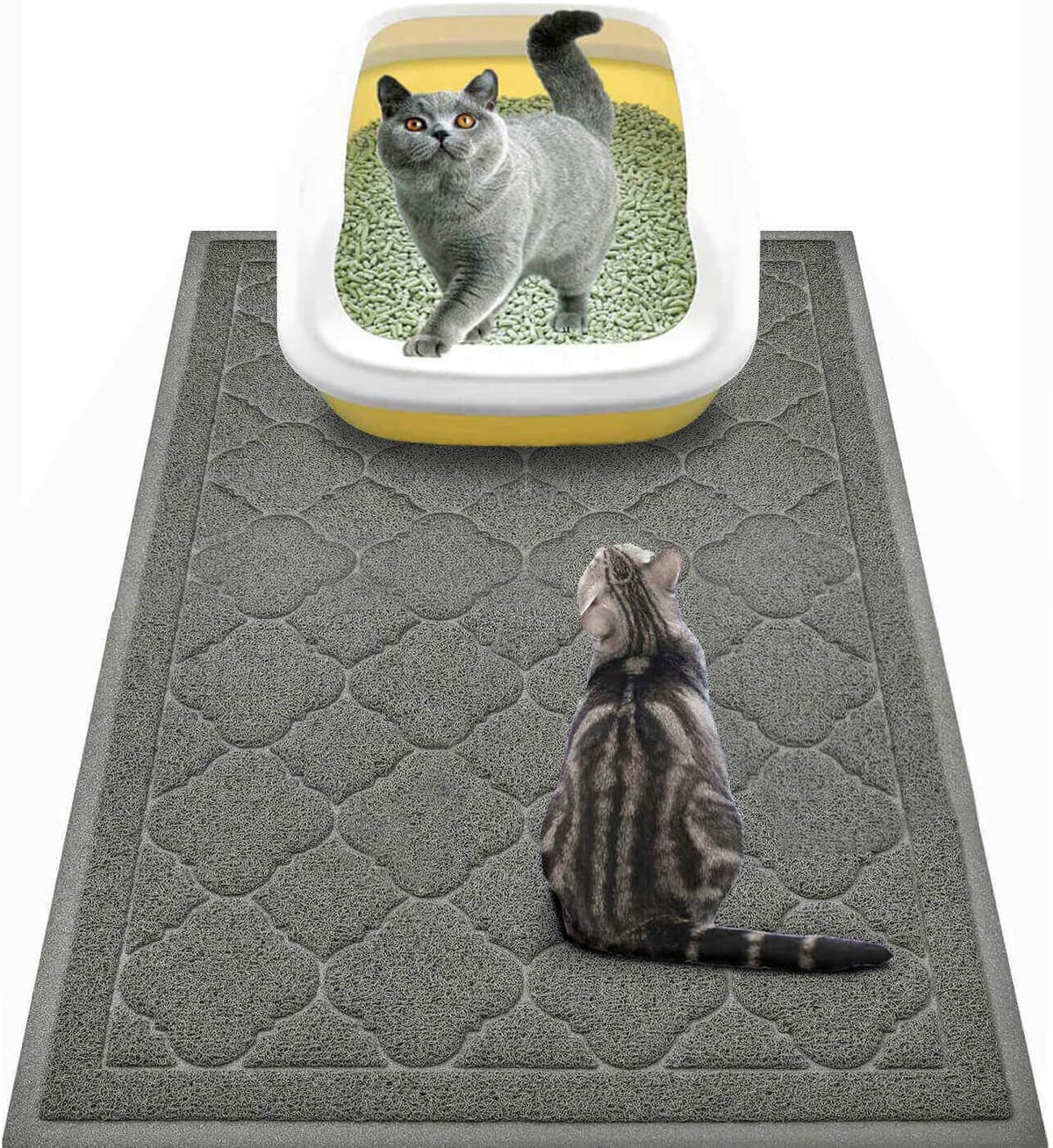 WePet tapis litière chat gris grand 35x23, réduit les éclaboussures.