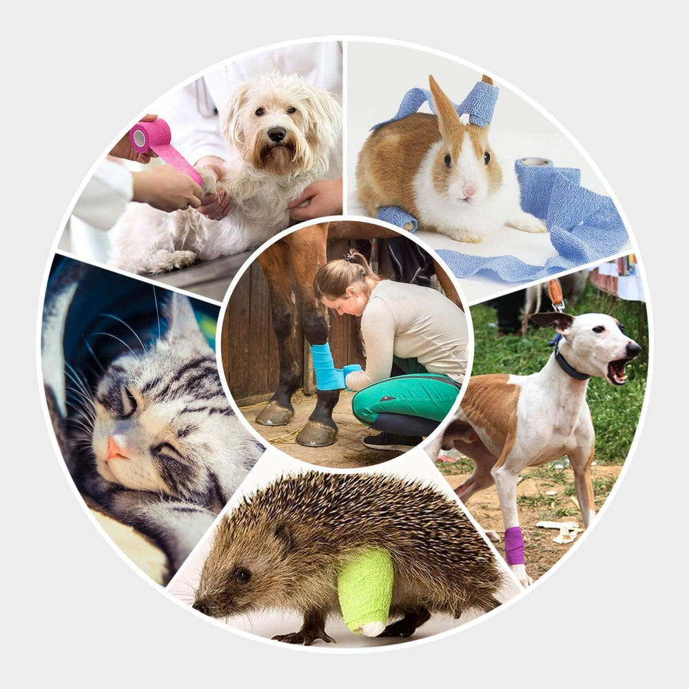 WePet Wrap, cambio cómodo y seguro para vendajes en mascotas.