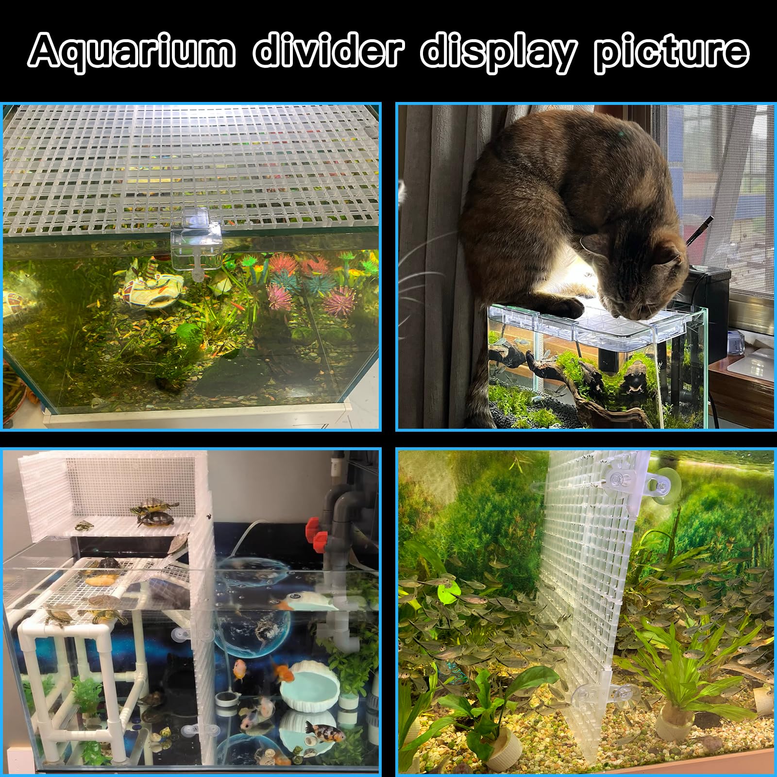 Weramics rejilla plástica para acuario, pieza 3, base estable para medios de filtración.