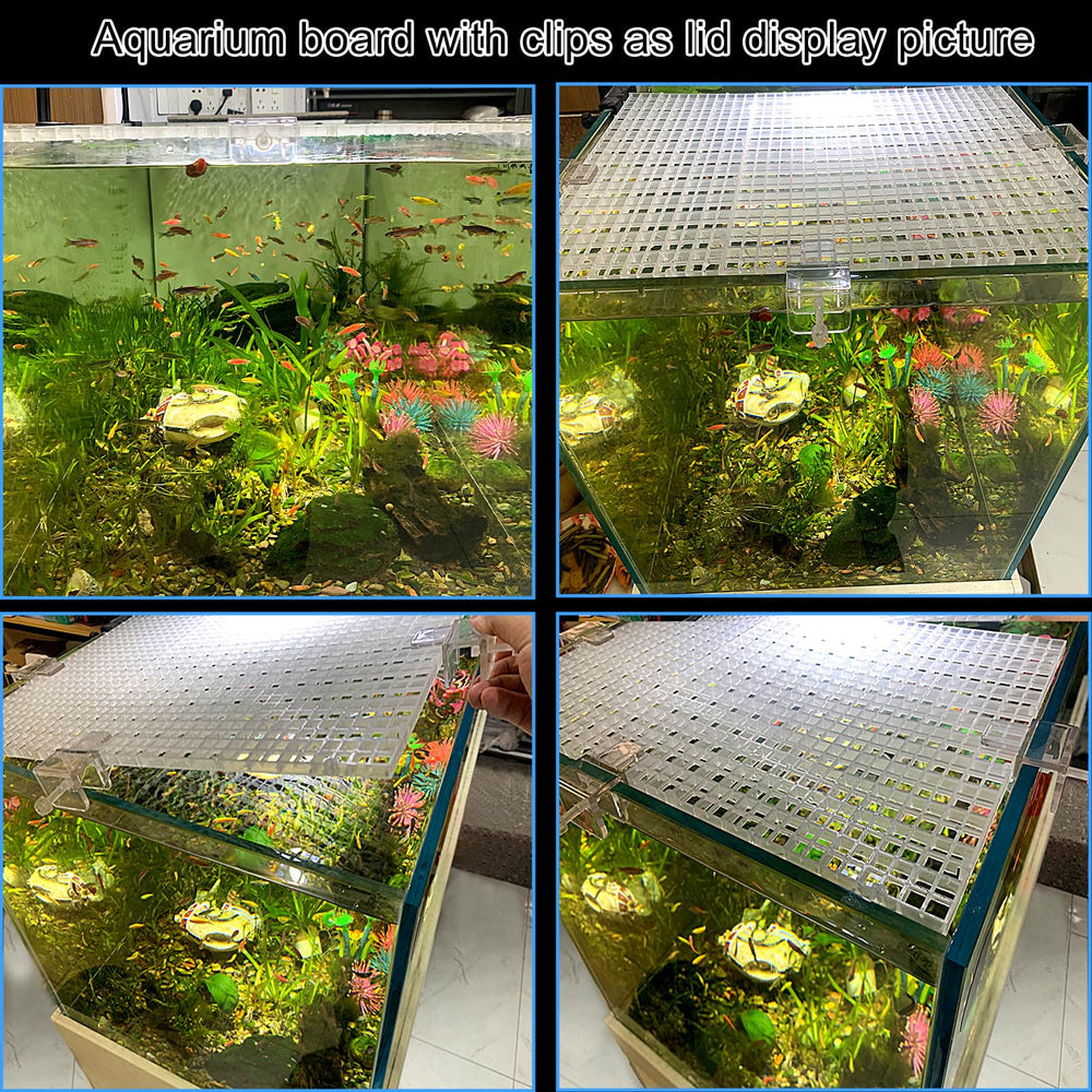 Weramics tapa de acuario para terrario y plataforma para tortugas