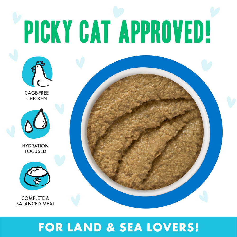 Weruva B.F.F. Play paté sin granos, ideal para gatos con preferencias suaves.