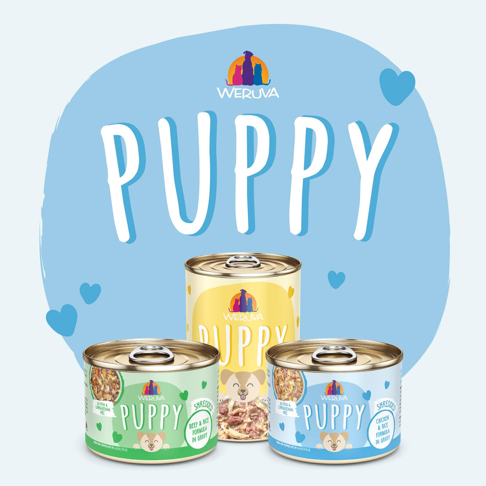 Weruva cachorro enlatado de 6oz ofrece hidratación y proteína de calidad.